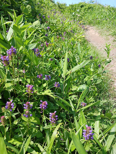 20260611_095645(0)